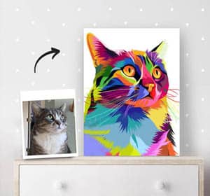 Regenbogeneffektstil Regenbogeneffektstil