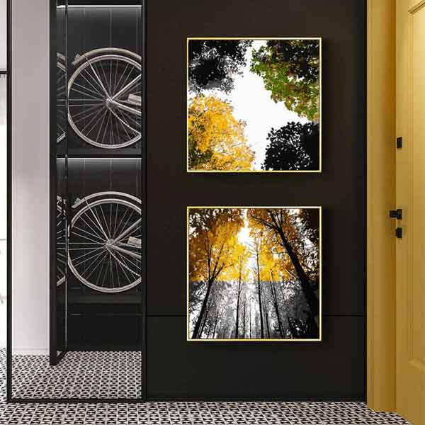 Canvas Frames and Framing Services