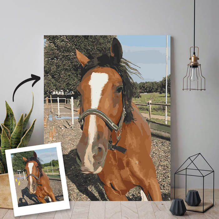 Portraits in Classic Oil Painting Style in Paint by Numbers Kits Portraits in Classic Oil Painting Style in Paint by Numbers Kits